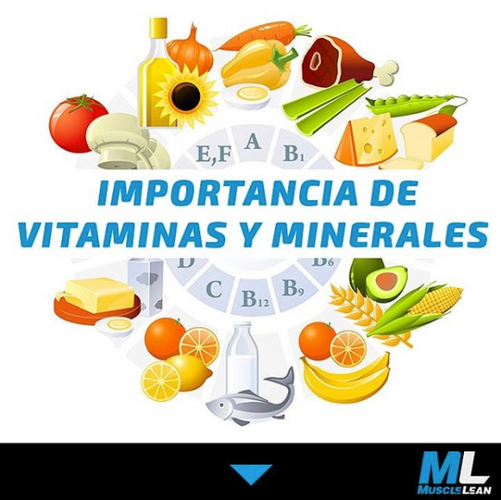 importancia vitaminas y minerales muscle lean