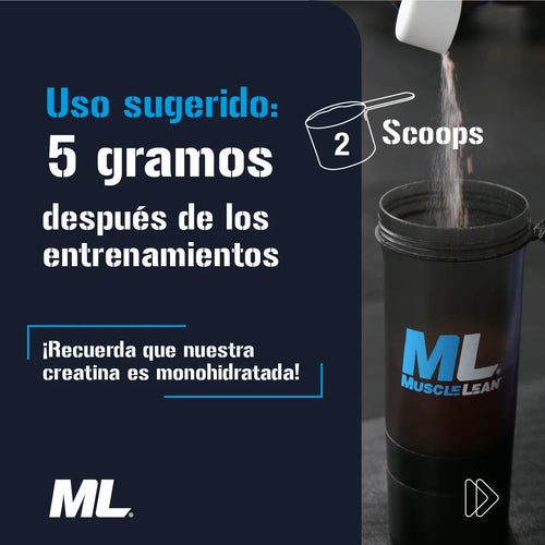 CREATINA MONOHIDRATADA (60 SERVICIOS) Muscle Lean
